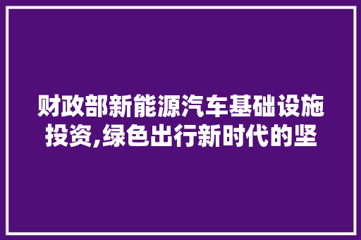 财政部新能源汽车基础设施投资,绿色出行新时代的坚实保障