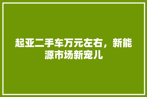 起亚二手车万元左右，新能源市场新宠儿