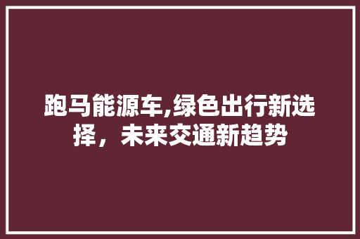 跑马能源车,绿色出行新选择，未来交通新趋势