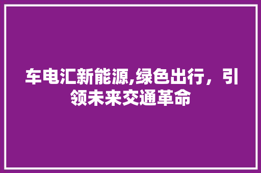 车电汇新能源,绿色出行，引领未来交通革命