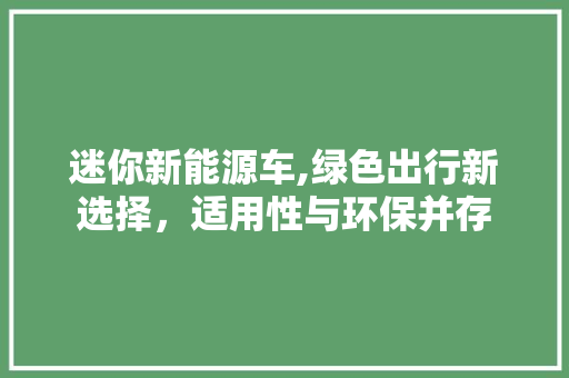 迷你新能源车,绿色出行新选择，适用性与环保并存