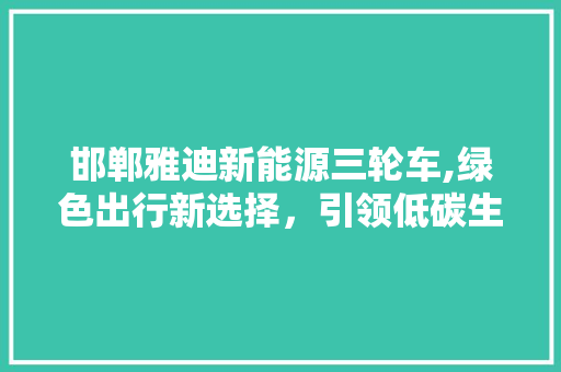 邯郸雅迪新能源三轮车,绿色出行新选择，引领低碳生活潮流