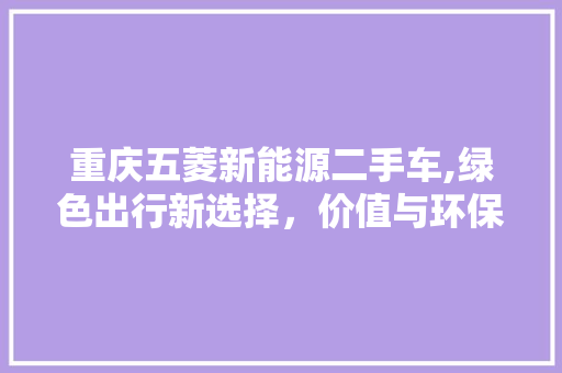 重庆五菱新能源二手车,绿色出行新选择，价值与环保兼顾