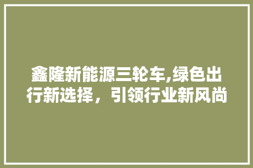 鑫隆新能源三轮车,绿色出行新选择，引领行业新风尚  第1张