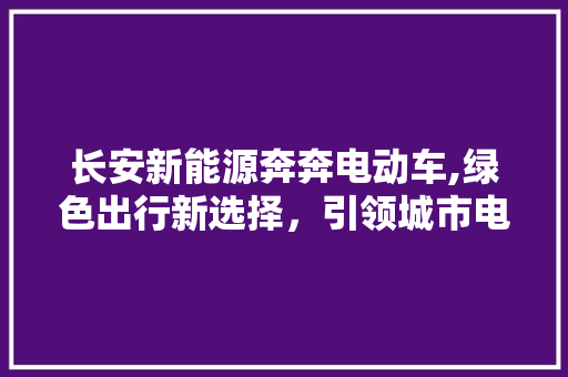长安新能源奔奔电动车,绿色出行新选择，引领城市电动化潮流