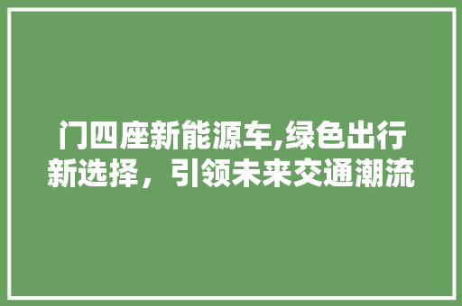 门四座新能源车,绿色出行新选择，引领未来交通潮流