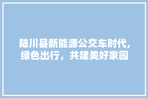 陆川县新能源公交车时代,绿色出行，共建美好家园  第1张