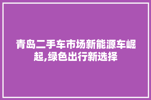 青岛二手车市场新能源车崛起,绿色出行新选择