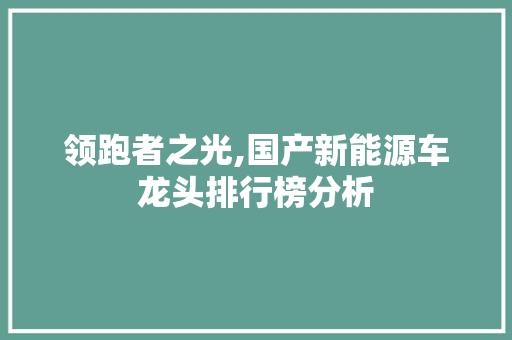 领跑者之光,国产新能源车龙头排行榜分析  第1张