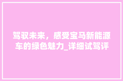 驾驭未来，感受宝马新能源车的绿色魅力_详细试驾评测
