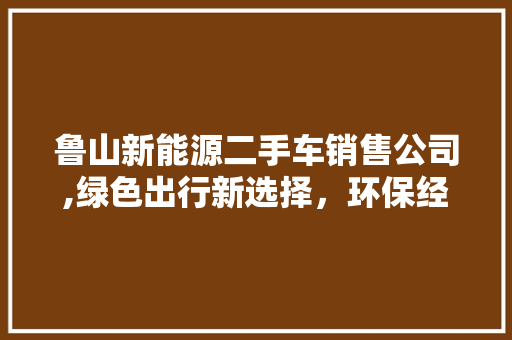 鲁山新能源二手车销售公司,绿色出行新选择，环保经济两不误