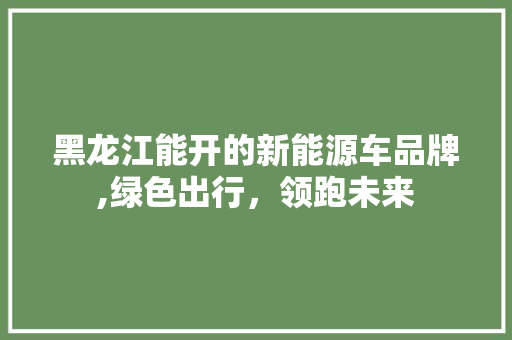 黑龙江能开的新能源车品牌,绿色出行，领跑未来