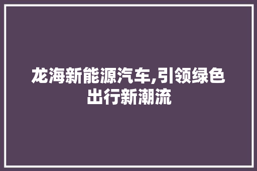 龙海新能源汽车,引领绿色出行新潮流
