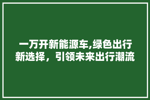 一万开新能源车,绿色出行新选择，引领未来出行潮流