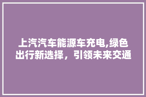上汽汽车能源车充电,绿色出行新选择，引领未来交通变革