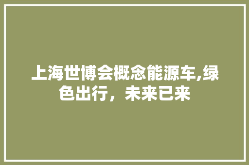 上海世博会概念能源车,绿色出行，未来已来