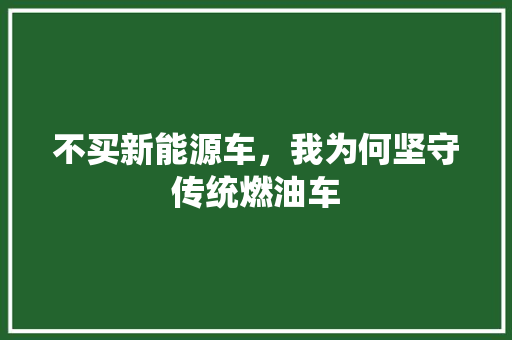 不买新能源车，我为何坚守传统燃油车