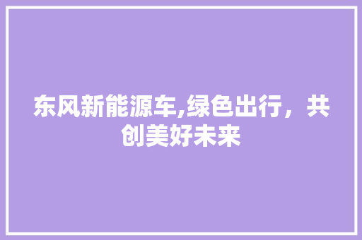 东风新能源车,绿色出行，共创美好未来  第1张