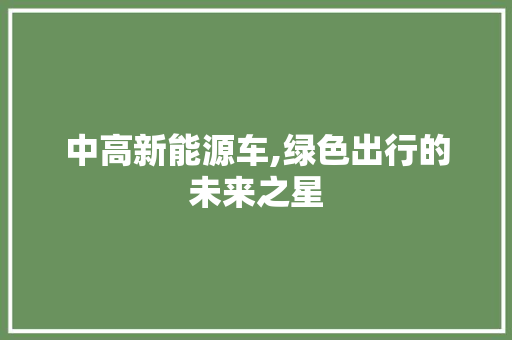 中高新能源车,绿色出行的未来之星