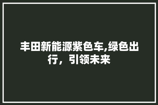丰田新能源紫色车,绿色出行，引领未来