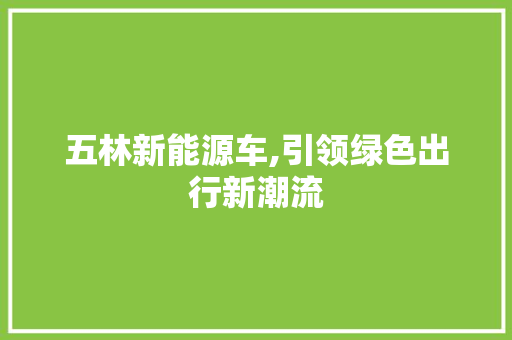 五林新能源车,引领绿色出行新潮流  第1张