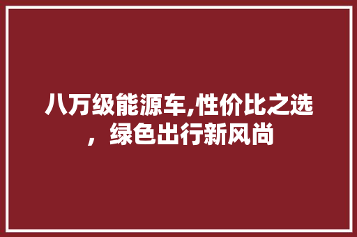 八万级能源车,性价比之选，绿色出行新风尚  第1张