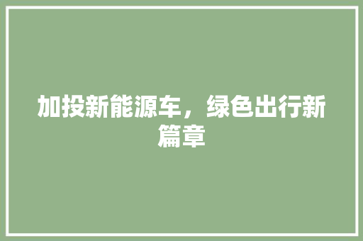 加投新能源车，绿色出行新篇章
