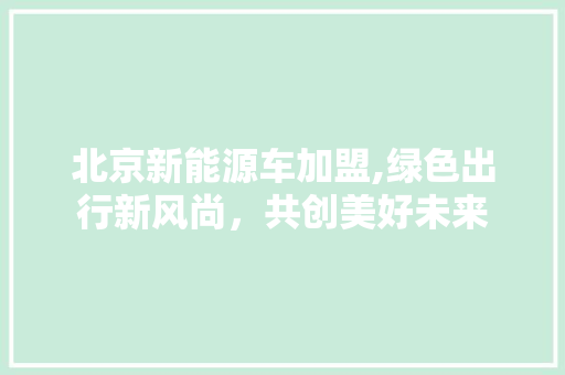 北京新能源车加盟,绿色出行新风尚，共创美好未来