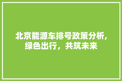 北京能源车排号政策分析,绿色出行，共筑未来