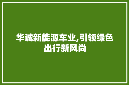 华诚新能源车业,引领绿色出行新风尚