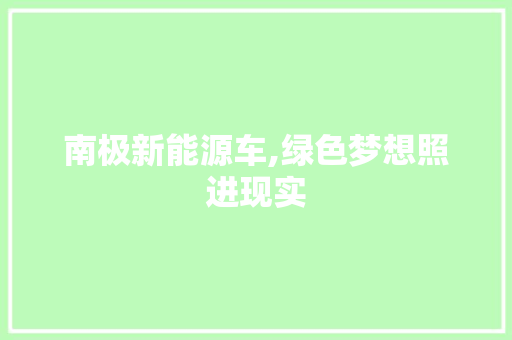 南极新能源车,绿色梦想照进现实