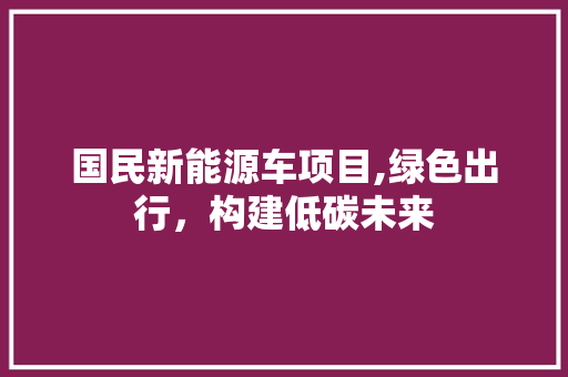 国民新能源车项目,绿色出行，构建低碳未来