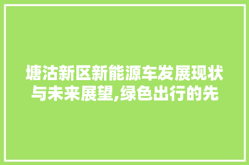 塘沽新区新能源车发展现状与未来展望,绿色出行的先行者