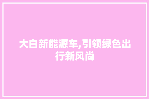 大白新能源车,引领绿色出行新风尚