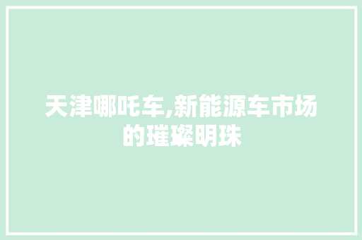 天津哪吒车,新能源车市场的璀璨明珠