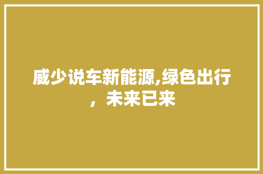 威少说车新能源,绿色出行，未来已来