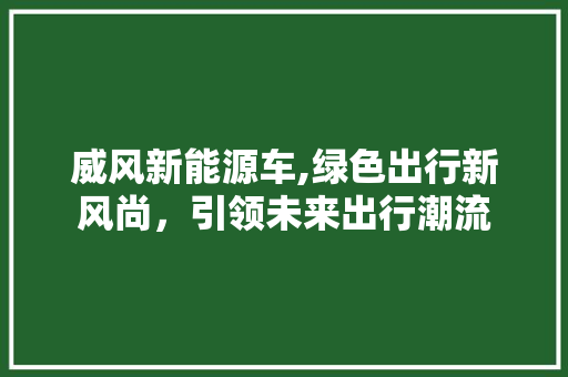 威风新能源车,绿色出行新风尚，引领未来出行潮流