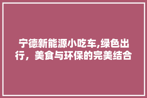 宁德新能源小吃车,绿色出行，美食与环保的完美结合