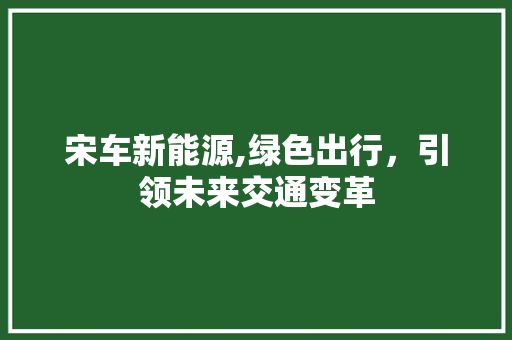 宋车新能源,绿色出行，引领未来交通变革