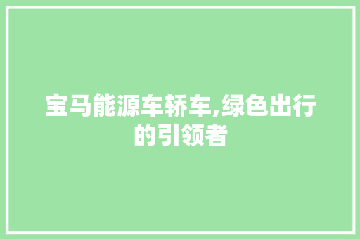 宝马能源车轿车,绿色出行的引领者