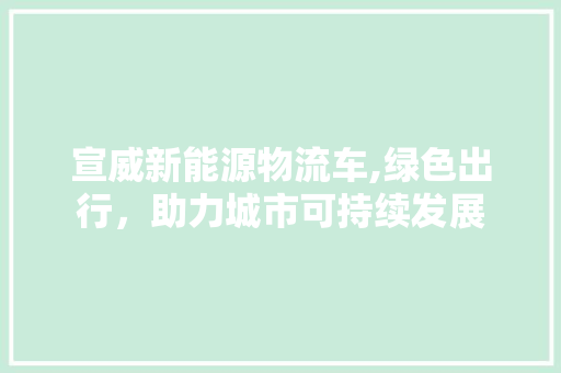 宣威新能源物流车,绿色出行，助力城市可持续发展
