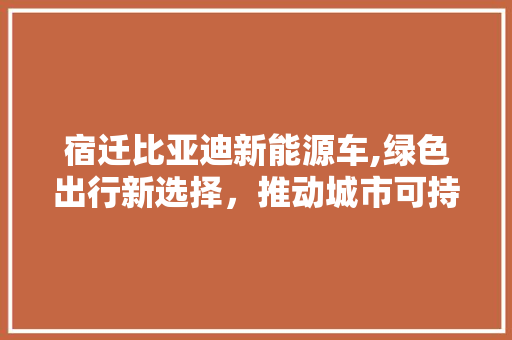 宿迁比亚迪新能源车,绿色出行新选择，推动城市可持续发展
