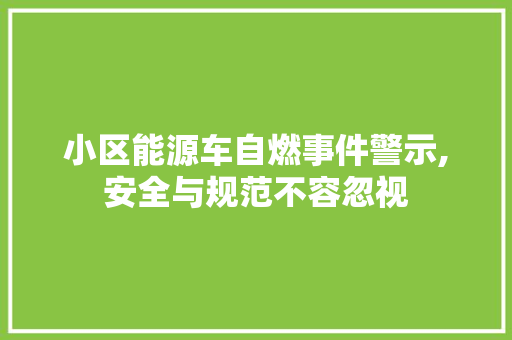 小区能源车自燃事件警示,安全与规范不容忽视