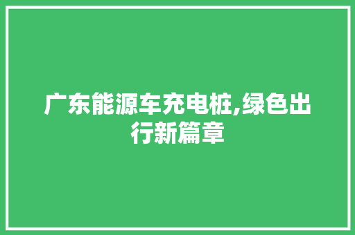 广东能源车充电桩,绿色出行新篇章