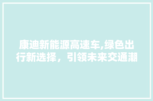 康迪新能源高速车,绿色出行新选择，引领未来交通潮流