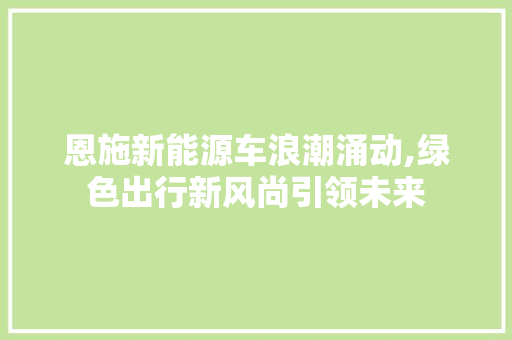 恩施新能源车浪潮涌动,绿色出行新风尚引领未来
