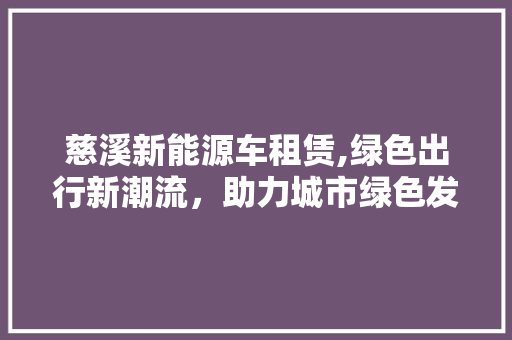 慈溪新能源车租赁,绿色出行新潮流，助力城市绿色发展  第1张
