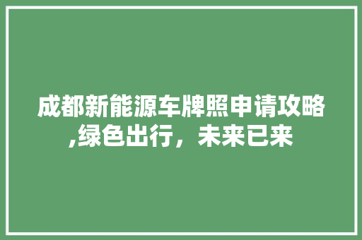 成都新能源车牌照申请攻略,绿色出行，未来已来
