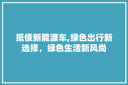 抵债新能源车,绿色出行新选择，绿色生活新风尚  第1张