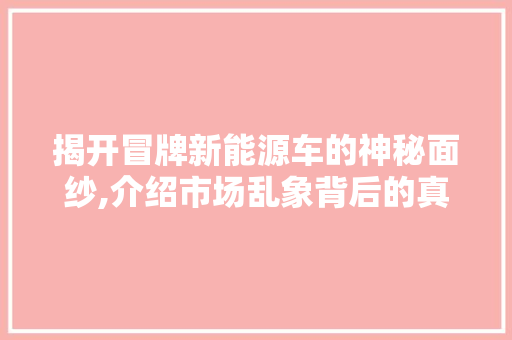揭开冒牌新能源车的神秘面纱,介绍市场乱象背后的真相